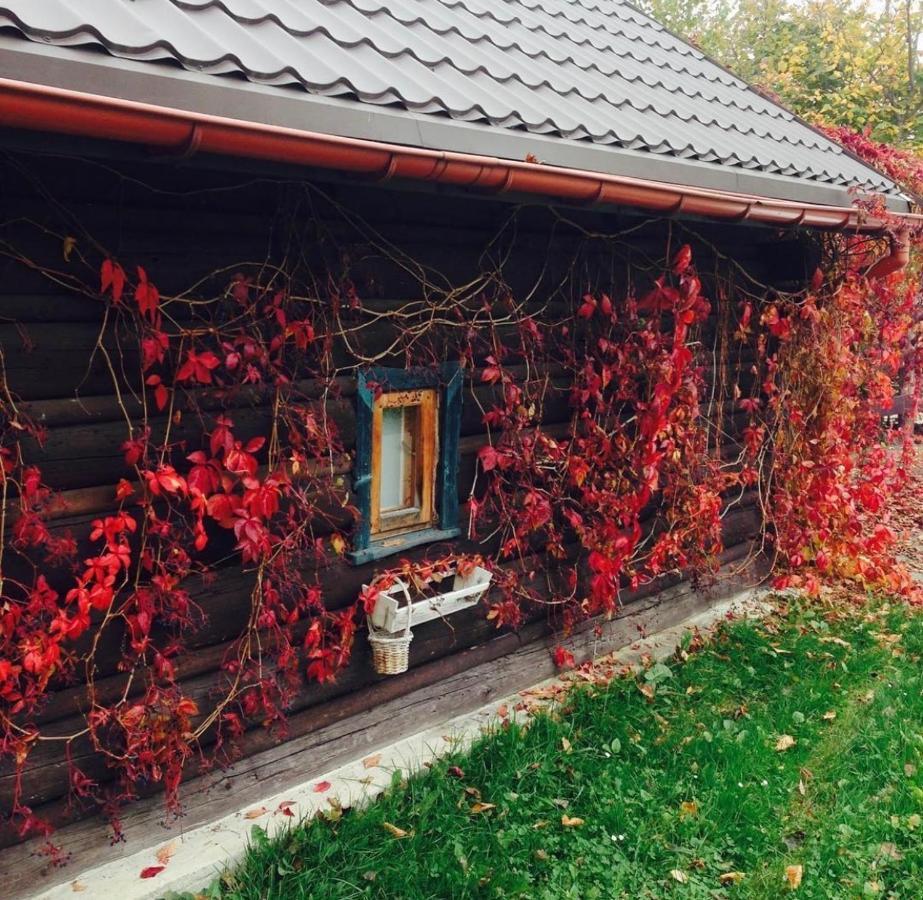 Chatka Koniaków Villa Exterior foto